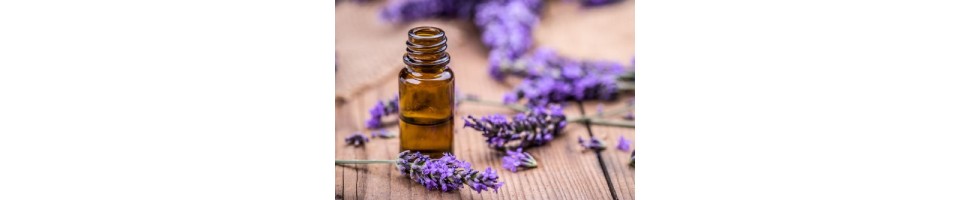 ΑΙΘΕΡΙΑ ΕΛΑΙΑ ΓΙΑ ΤΟ ΣΩΜΑ ΚΑΙ ΤΟ ΜΠΑΝΙΟ