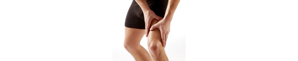 ΜΥΪΚΗ ΛΕΙΤΟΥΡΓΙΑ