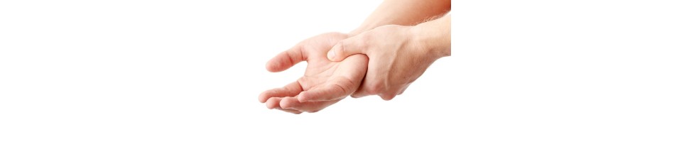 ΝΕΥΡΙΚΗ ΛΕΙΤΟΥΡΓΙΑ