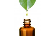 SERUMS
