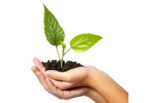 ΤΡΟΦΙΜΑ & ΕΙΔΗ ΣΠΙΤΙΟΥ